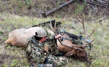 ELK CALLING MISTAKES