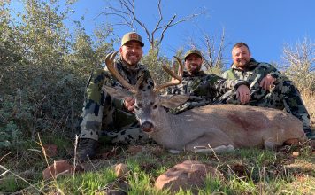 ARIZONA COUES DEER RUT