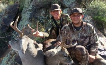 Conquering Bomber Coues