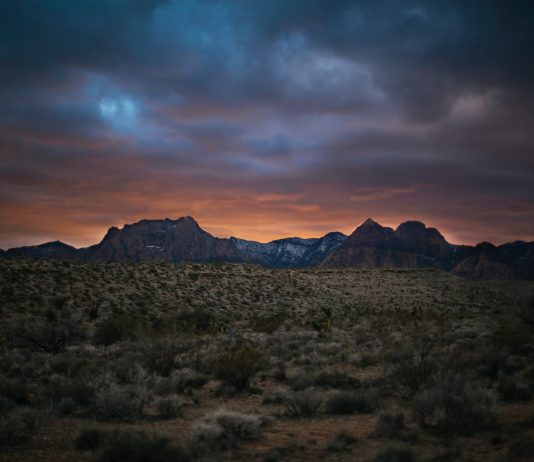 NEVADA GOVERNOR SIGNS HABITAT CONSERVATION FRAMEWORK