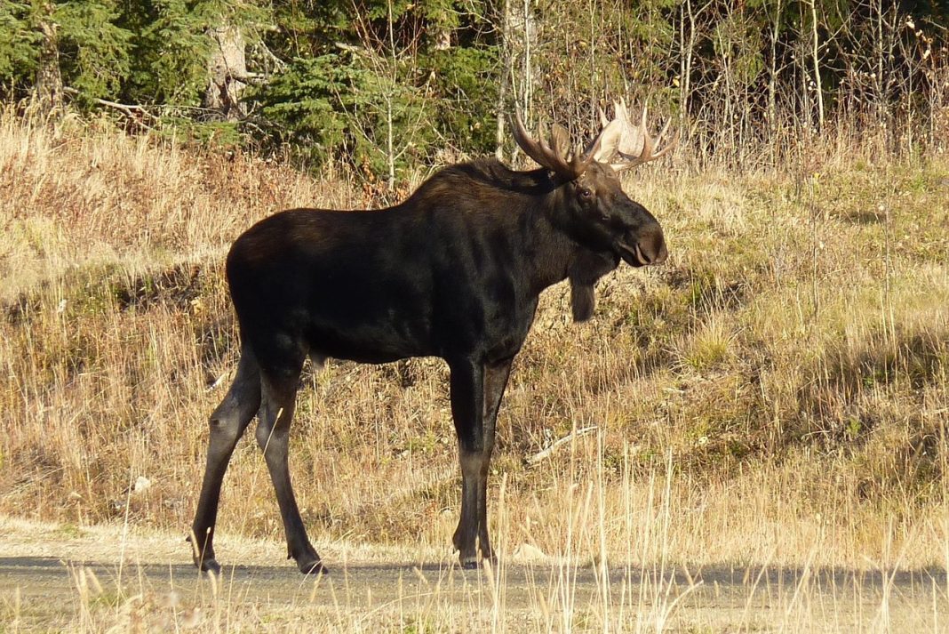 NEW WYOMING BILL INCREASES FEES BY 400%