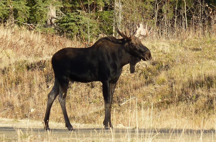 NEW WYOMING BILL INCREASES FEES BY 400%