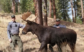 USING DECOYS TO CATCH POACHERS