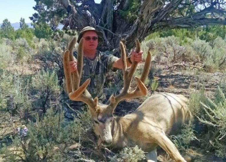 NEW WORLD RECORD TYPICAL MULE DEER | EHUNTR