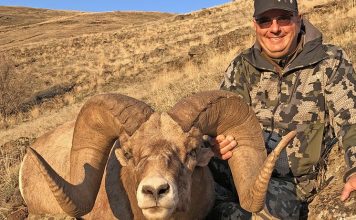 NEW WASHINGTON BIGHORN RECORD