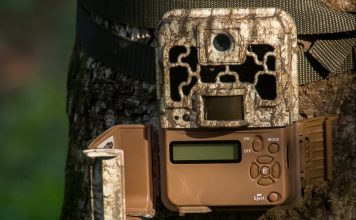 ARIZONA MOVES FORWARD ON TRAIL CAM BAN