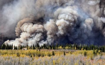 WYOMING'S ROOSEVELT FIRE INVESTIGATION